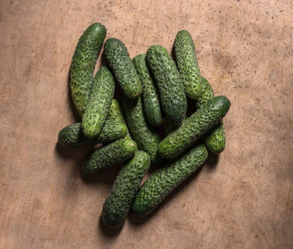 Fresh Organic Cucumbers — Stock Photo, Image