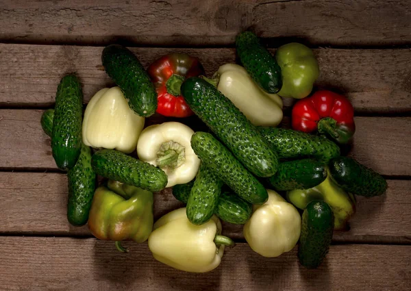 Verse biologische komkommers en pepers — Stockfoto