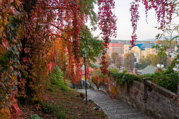 Uzhhorod, Ukrayna - 15 Ekim 2019: Caddeler ve mimari o — Stok fotoğraf