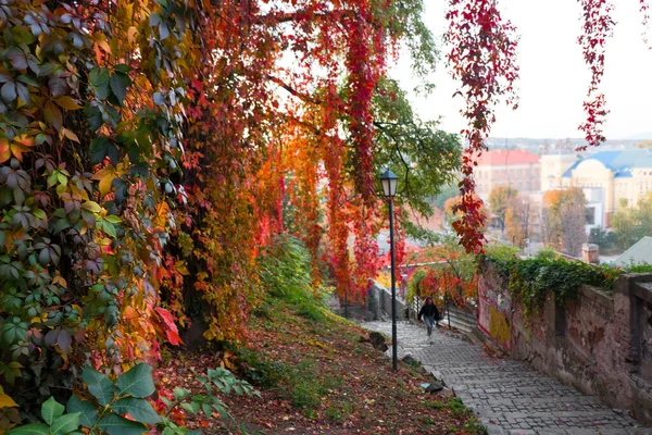 UZHHOROD, UKRAINE - OCTOBER 15, 2019: Streets and architecture o — Stock Photo, Image