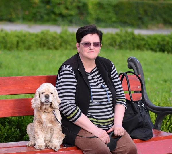 Женщина с американским спаниелем сидит на скамейке — стоковое фото