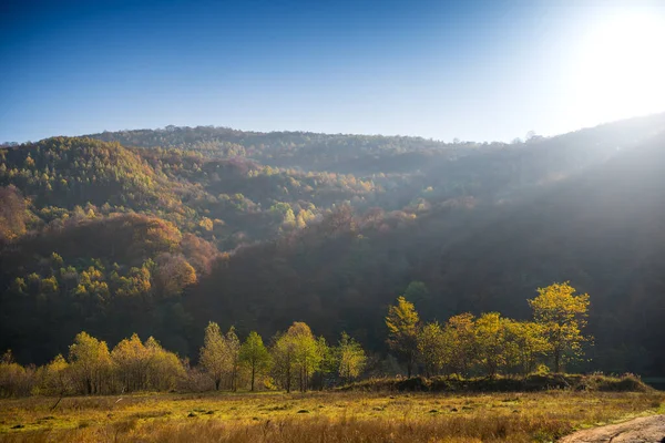 Güneşli bir günde sonbahar dağı manzarası — Stok fotoğraf
