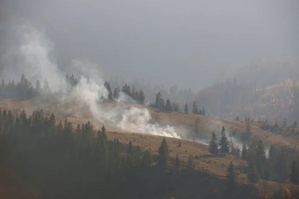 Лесной пожарный дым на склонах холмов — стоковое фото