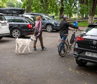 UZHOROD, UKRAINE - Haziran 05, 2020: Uzhhorod şehrinin merkezinde keçiye tasma takan kadın