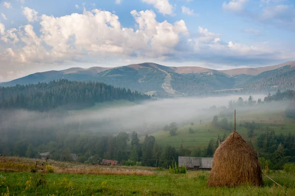 Kırsal Vadi Nin Yaz Manzarası Sabah Dağlarda Yeşil Bir Çayırda — Stok fotoğraf