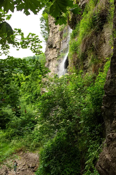 Liten Vattenfall Skogen Sommaren — Stockfoto