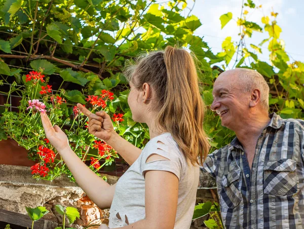Büyükbaba Torunu Bahçede Çiçeklere Bakıyor — Stok fotoğraf