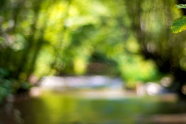 Imagen Desenfocada Del Paisaje Verano Río Montaña Bosque — Foto de Stock