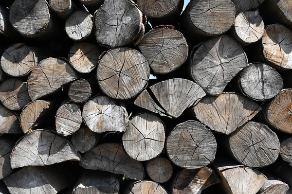 Hromada Dřevěných Klád Připravených Zimu Dřevěné Klády Textury Pozadí — Stock fotografie