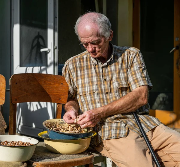 庭で豆をむいている老人 — ストック写真