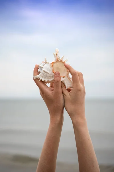 ビーチで美しい貝殻を持っている女性 — ストック写真