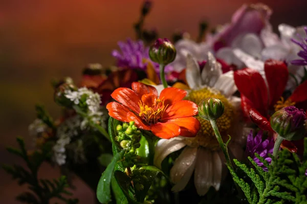 Nahaufnahme Eines Schönen Straußes Heller Blumen — Stockfoto