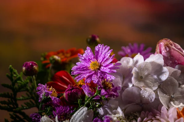 Close Beautiful Bouquet Bright Flowers — Stock Photo, Image