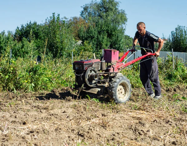 Heyivci Ukraine September 2020 Farmer Digging Potatoes Hand Tractor Farm — Stock Photo, Image