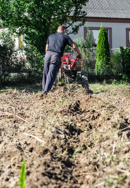 Contadino Che Scava Patate Con Trattore Mano Azienda — Foto Stock