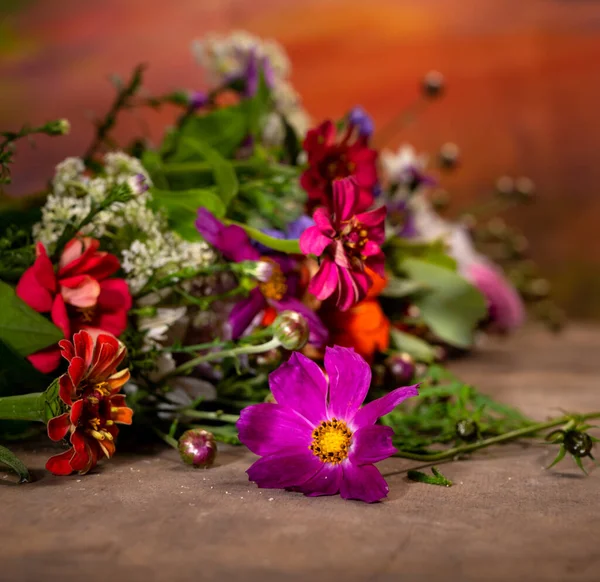 Nahaufnahme Eines Schönen Straußes Heller Blumen — Stockfoto