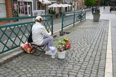Uzhhorod, Ukraine - July 14, 2025: Elderly woman selling flowers on a cobblestone street in a town center during a cloudy day in Uzhhorod