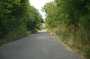 Asfaltsız yol ileride, her iki tarafında yemyeşil ağaçlarla kaplı. Güneş ışığı yaprakların arasından süzülerek yürümek ve bisiklete binmek için mükemmel sakin bir atmosfer yaratır.