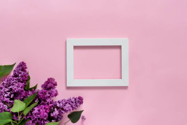 Modaya uygun pembe arka planda leylak çiçekleri ve beyaz çerçeveli yaratıcı minimalist afiş. Web afişi. Üst görünüm, düz görünüm, kopyalama alanı