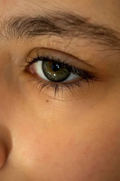 クローズアップロングまつ毛とナチュラルブラウンの眉毛、緑の目、美しさのコンセプト. — ストック写真