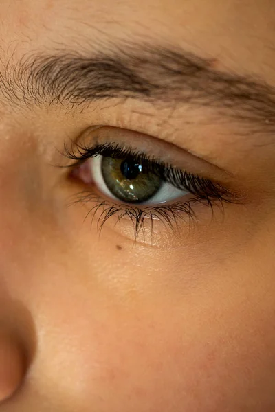 Close-up Pestaña larga y cejas marrones naturales, ojo verde, concepto de belleza . —  Fotos de Stock