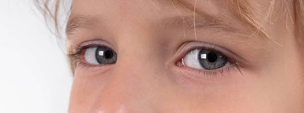 Macro primer plano niño pequeño rubia niños ojo gris, cejas rubias y pestañas marrones. Piel blanca clara. Cuidado de la salud ocular y concepto de visión médica. Amplia bandera larga — Foto de Stock