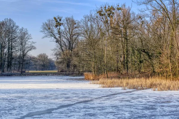 donmuş park su birikintisi kış soğuk güneşli bir günde buzla kaplı