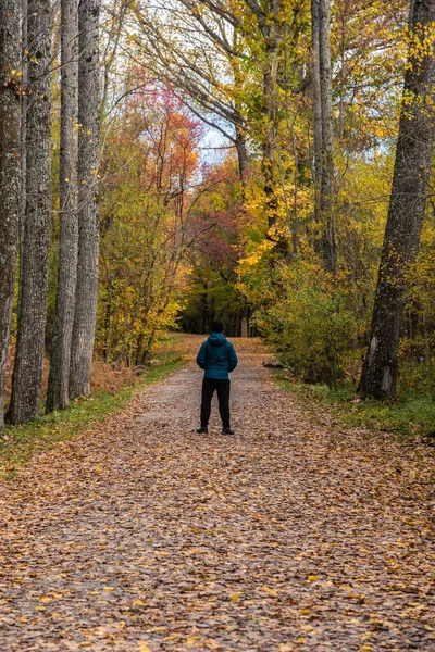 View of a man in the middle of a path inside a forest in autumn path among the trees in a very colorful forest in autumn