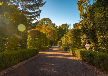 Sonbahar sahne Oliwa parkta sokakta.