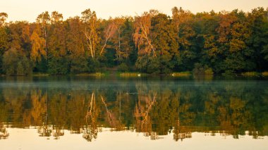  Gölün suya yansıyan sonbahar güzel orman. 