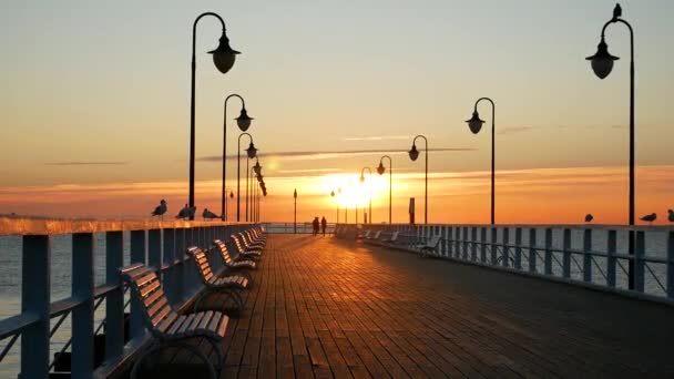 Salida Del Sol Sobre Muelle Gdynia Polonia Hermosa Naturaleza Mar — Vídeo de stock