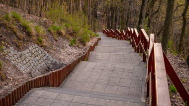 Uzun merdivenler. Gdansk Oliwa Pacholek Tepesi.