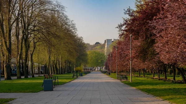 Increíble Paseo Marítimo Gdynia Por Mañana — Foto de Stock