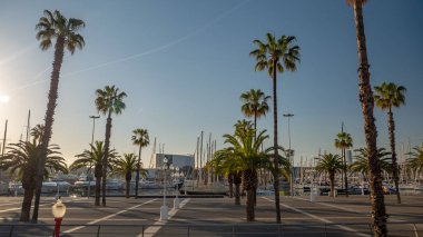Palmiye ağaçları ile Port Vell gezinti yerinde gün doğumu. Barselona Sokakları, İspanya