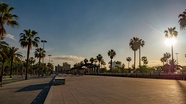 Sonnenaufgang Der Hafenpromenade Mit Palmen Straßen Von Barcelona Spanien — Stockfoto