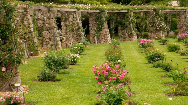 Cervantes Park Barcelona Katalonien Spanien — Stockfoto