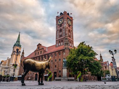 Torun, Polonya. 17 Temmuz 2019. Gökbilimli Nicolaus Copernicus ve altın eşek Anıtı ile torun eski kent Ortaçağ Belediye Binası.