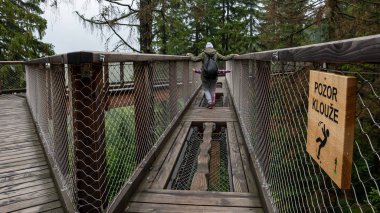 Çek Cumhuriyeti 'ndeki Krkonoe Ulusal Parkı' nda yaz yürüyüşü.