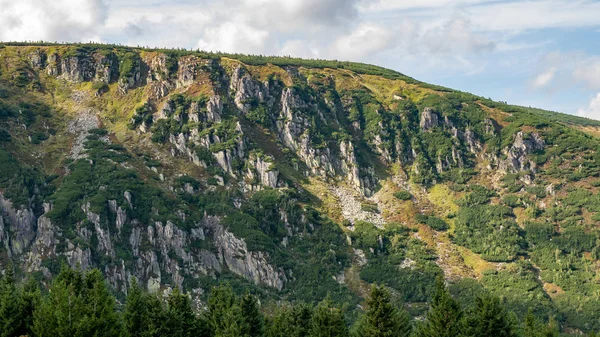 Ağaçlı Otlaklı Dağ Manzarası Dev Dağlar Karkonosze Polonya — Stok fotoğraf