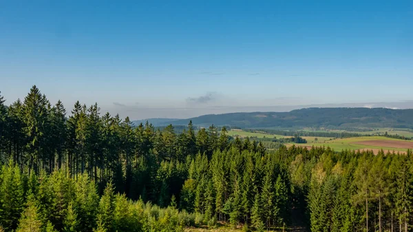 Çam Ağacından Yeşil Orman Dağ Manzarası Dev Dağlar Karkonosze Sudets — Stok fotoğraf