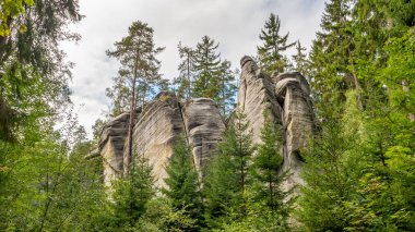 Adrspach ve Teplice kayalar ve aralarında büyüyen antik çam ünlü kumtaşı rock kuleleri görünümü. Kuzeydoğu Bohemia, Çek Cumhuriyeti, Avrupa 'da Adrspach Milli Parkı 