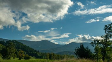 Çam ağacından yeşil orman ve dağ manzarası. Dev Dağlar, Karkonosze, Sudets / Sudety, Polonya. Yaz sonu..