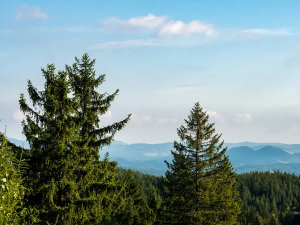 Bosque Verde Pino Paisaje Montañoso Montañas Gigantes Karkonosze Sudets Sudety — Foto de Stock