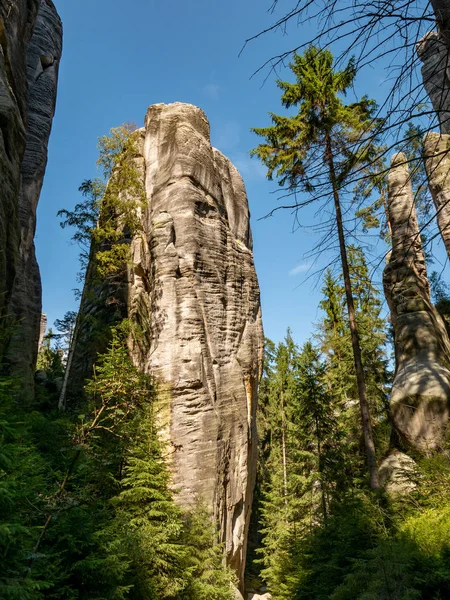 View of famous sandstone rock towers of Adrspach and Teplice Rocks and ancient pines growing between them. Adrspach National Park in northeastern Bohemia, Czech Republic, Europe