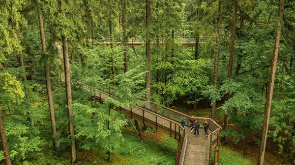 Janske Lazne República Checa 2019 Paseo Verano Por Sendero Través — Foto de Stock