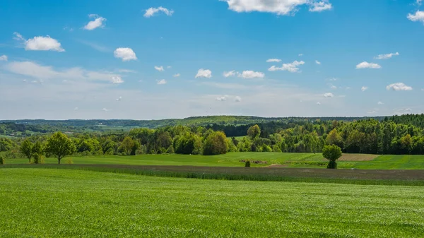 Naturlandschaft Mit Grünem Feld Der Kaschubischen Region Polen Natur Und — Stockfoto
