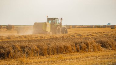 Hasat zamanı bir buğday tarlasında traktör