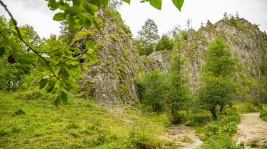 Polonya 'nın Pieniny dağlarındaki Homole vadisi.
