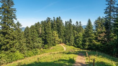 Üç Taç, Pieniny, Polonya yolunda..