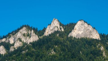 Üç Crown Massif, Pieniny, Polonya.